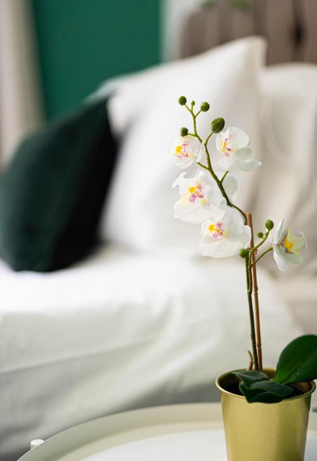 Comfortable House In Nuneaton Sleeps5 Free Parking Good Amenites المظهر الخارجي الصورة